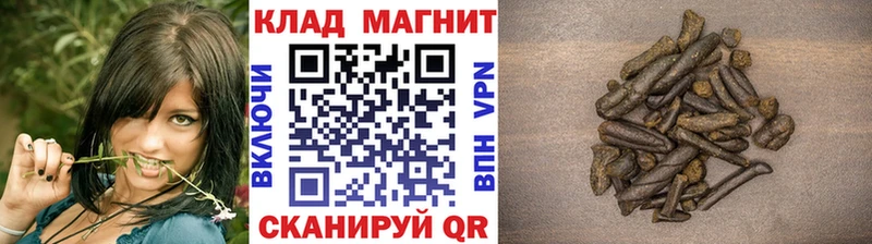 Купить закладку ГАШИШ  Метадон  АМФ  Меф мяу мяу  СОЛЬ  Дзержинский