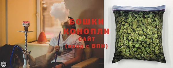 гидропоника Дмитриев