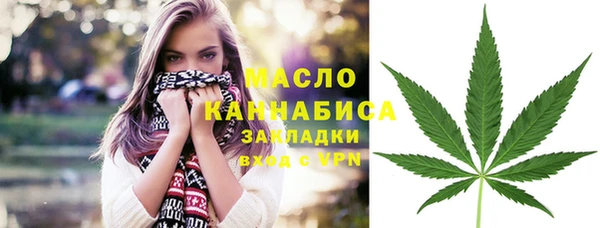 гидропоника Дмитриев