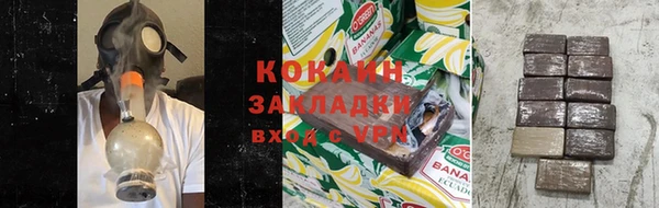гидропоника Дмитриев